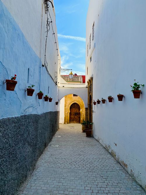 Free Scenic narrow alley adorned with flower pots and paving stones, perfect for urban travel enthusiasts. Stock Photo