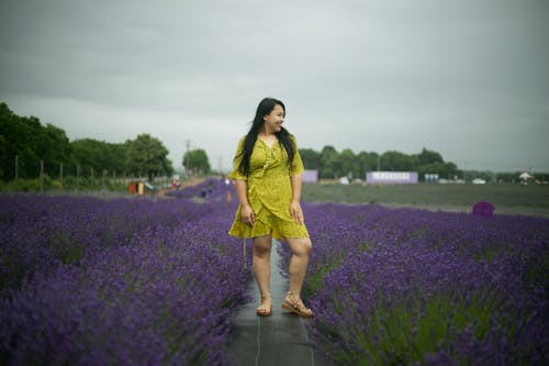 Immagine gratuita di campo di lavanda, donna, fiori di lavanda