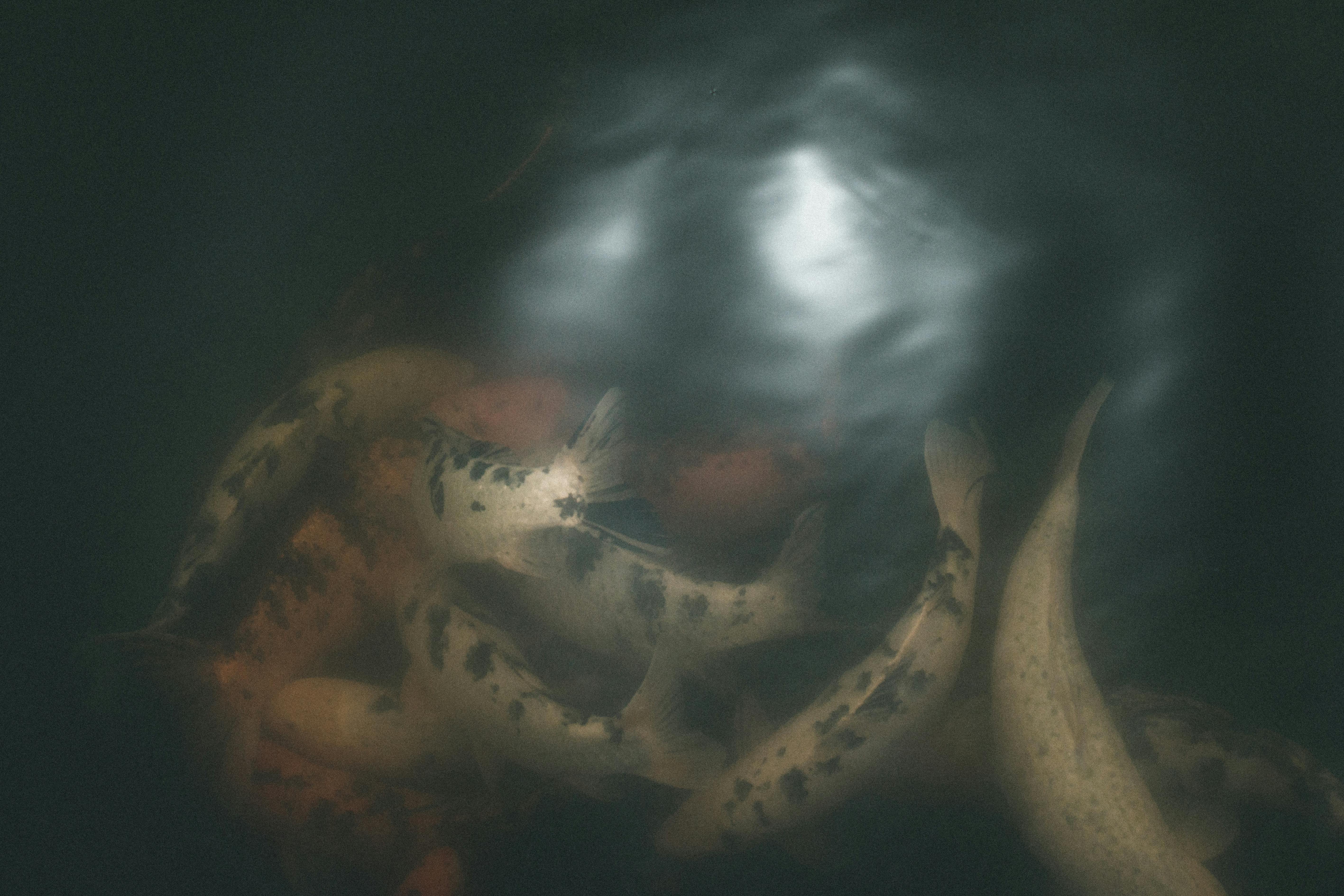 유튜브 백업 채널 활용