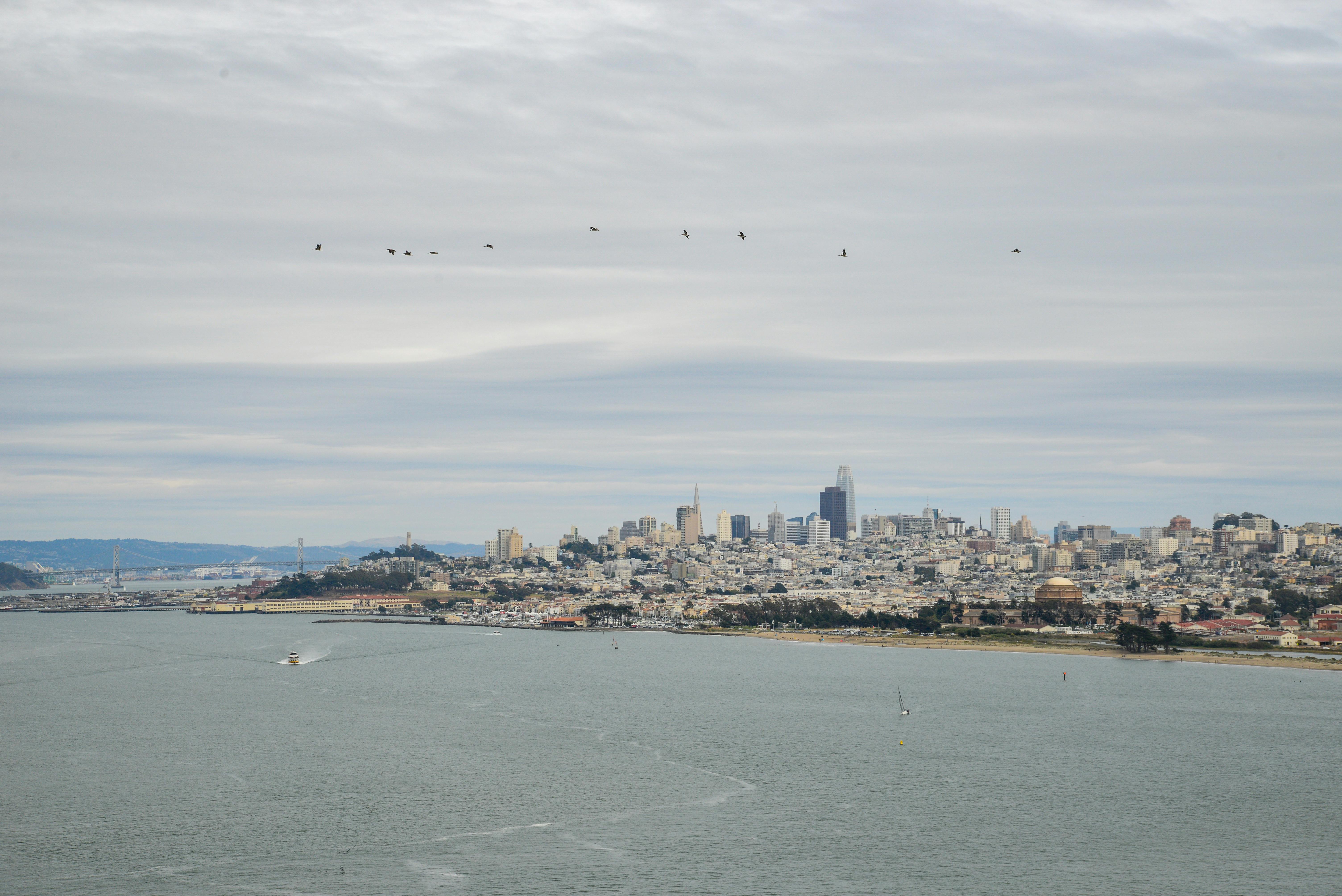 The Best Immigration Attorneys in the Bay Area | Local Recommendations for Best Immigration &amp; Asylum Lawyers — Photo by A