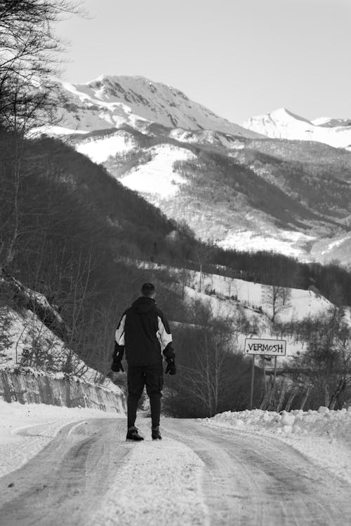 Photos gratuites de chemin de terre, debout, forêt