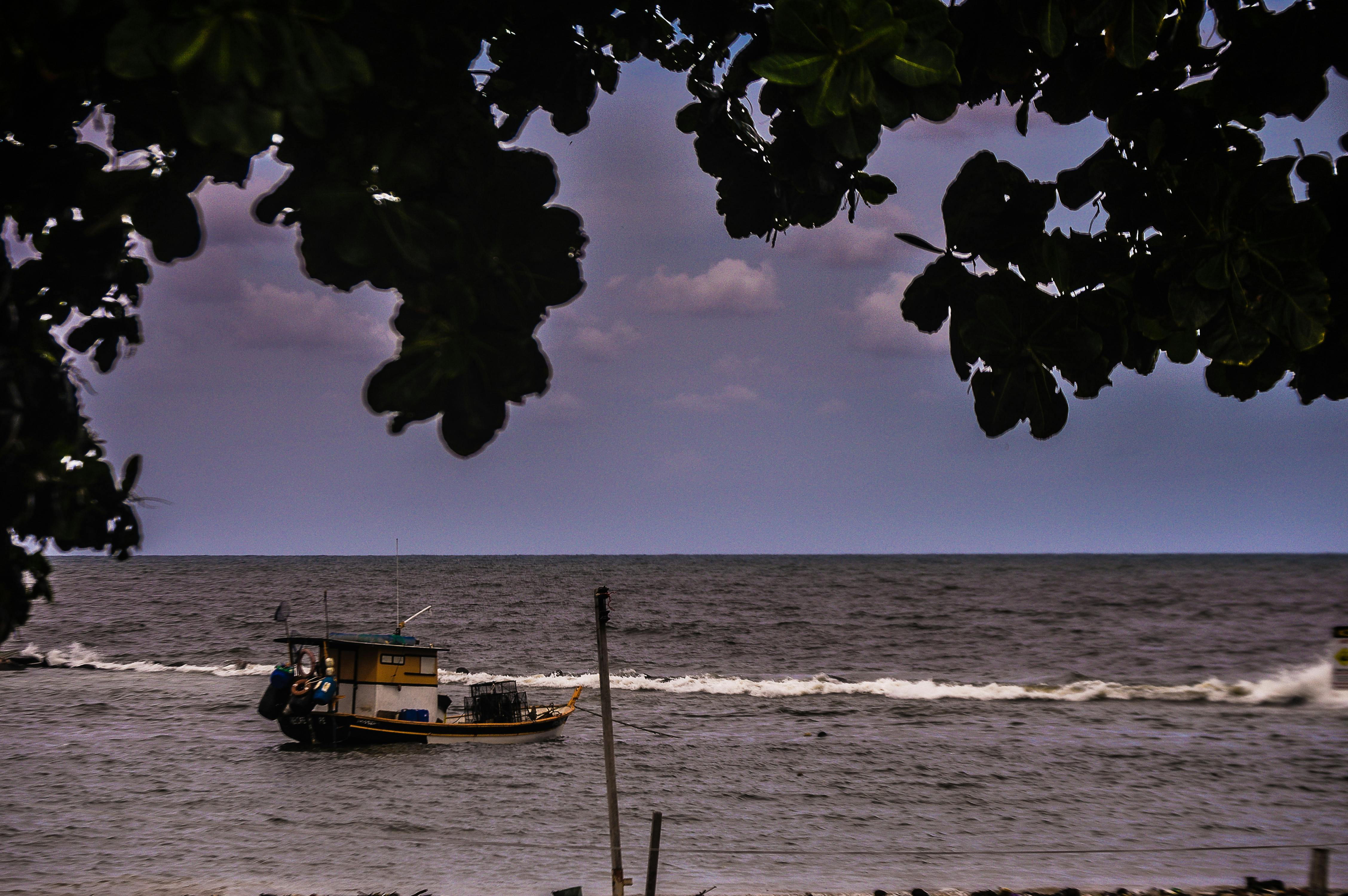 Free stock photo of weddings