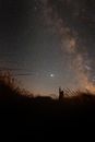 Silhouette of Person Standing on Grass Field Under Starry Night