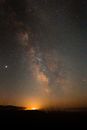 Silhouette of Trees Under Starry Night