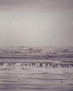 Body of Water Under White Sky