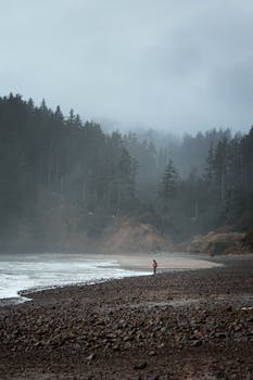 A lone person stands on a misty, rocky shore surrounded by forested cliffs.