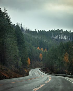 A picturesque winding road curves through a dense forest in autumn, under a moody sky.