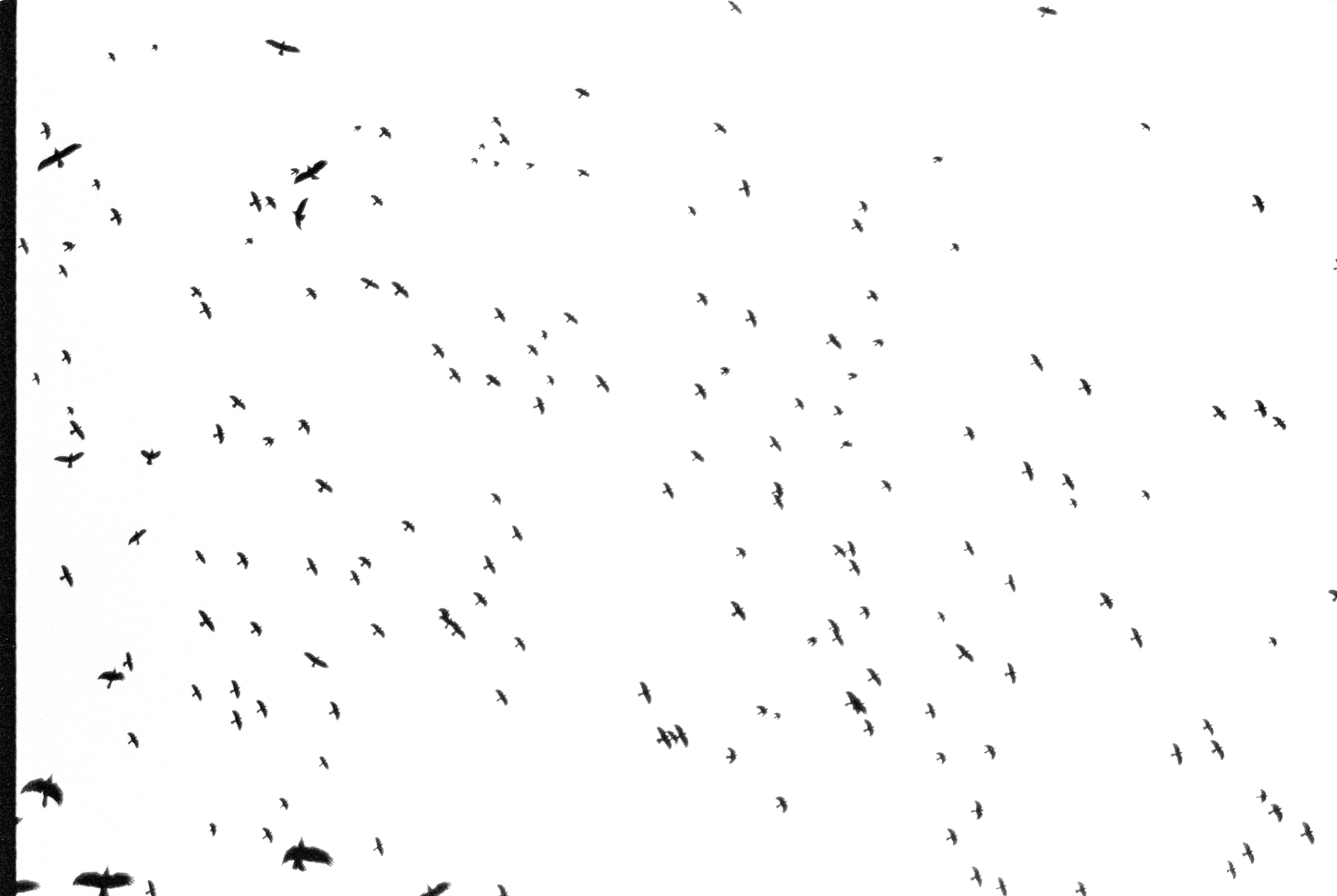 Kostnadsfria Kostnadsfri bild av abstrakt, antenn, dynamisk Stock foto