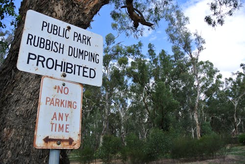 No Parking and Warning Sign on a Tree in a Public Park