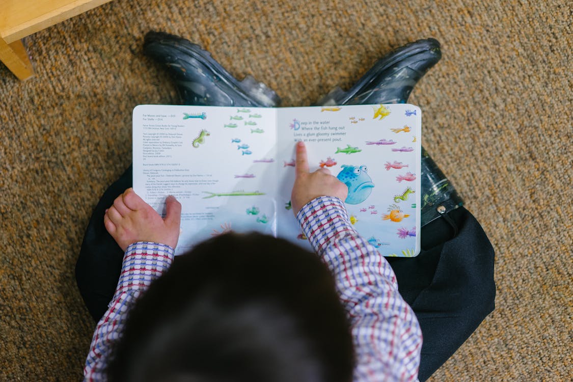 Free Photo of a Boy Reading Book Stock Photo