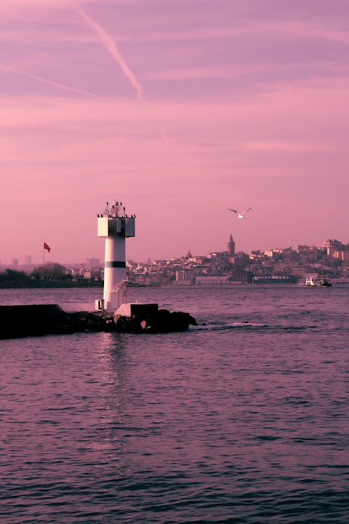 White and Black Lighthouse on Body of Water