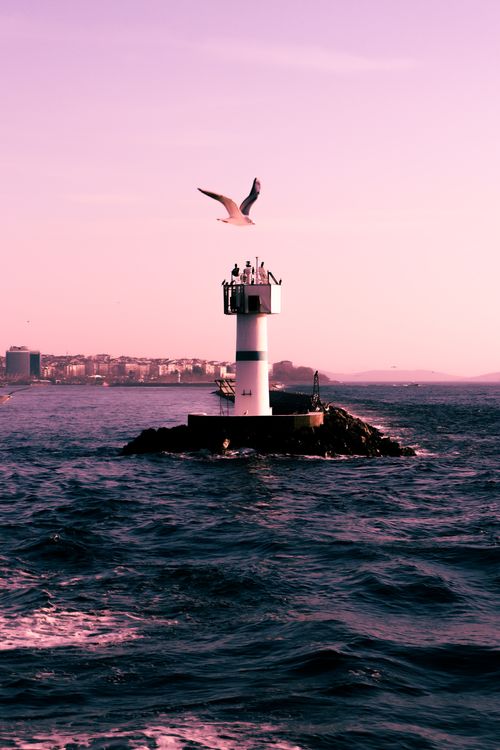 Free Serene lighthouse on ocean with seagull and city in background during sunset. Stock Photo