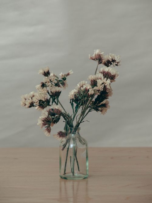 Free A minimalist floral arrangement with white flowers in a glass vase on a wooden table. Stock Photo