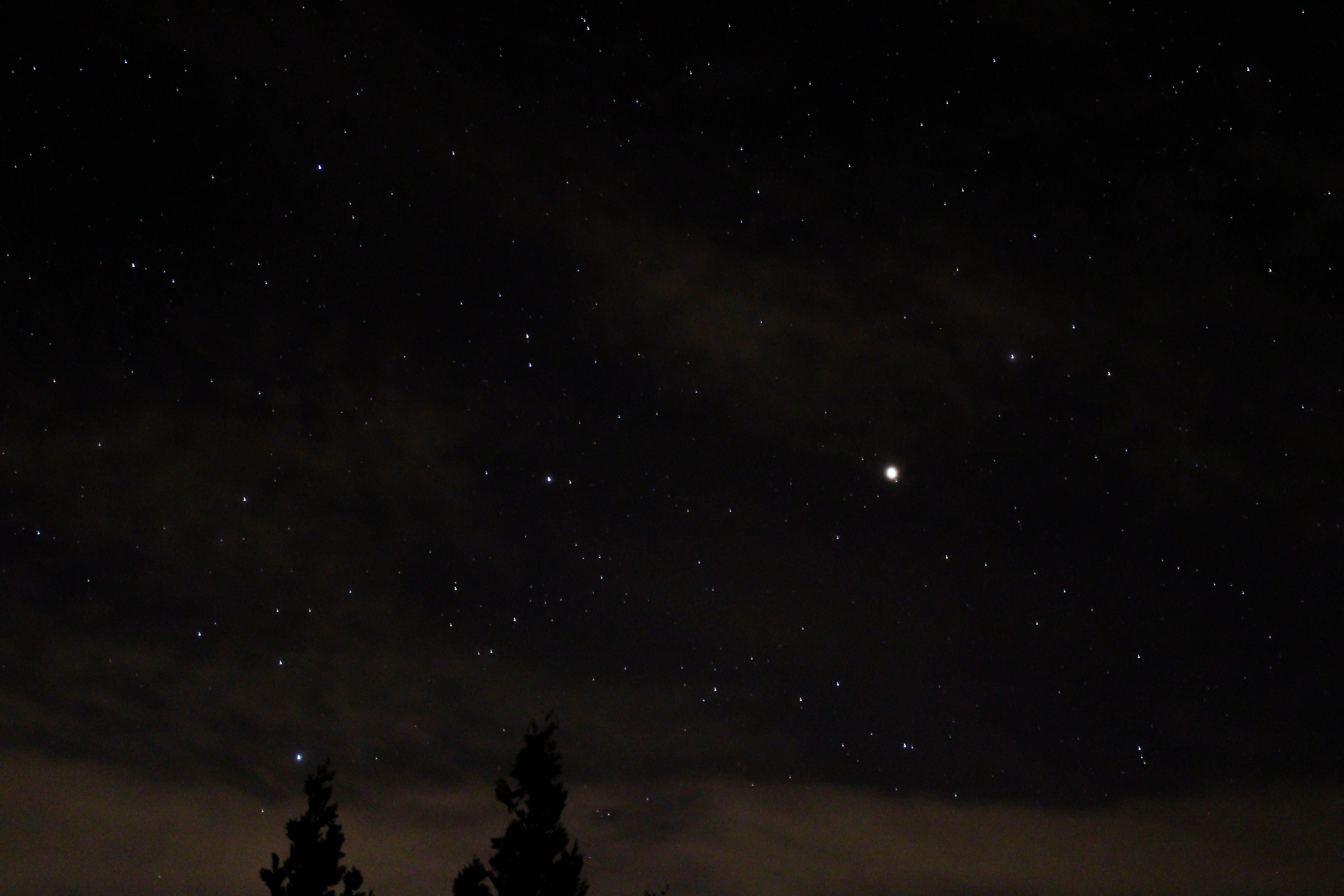 A tranquil starry night sky with constellations visible above silhouetted trees.