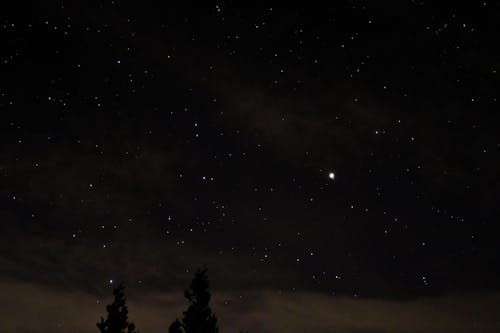 Foto d'estoc gratuïta de astrologia, astronomia, cel estrellat