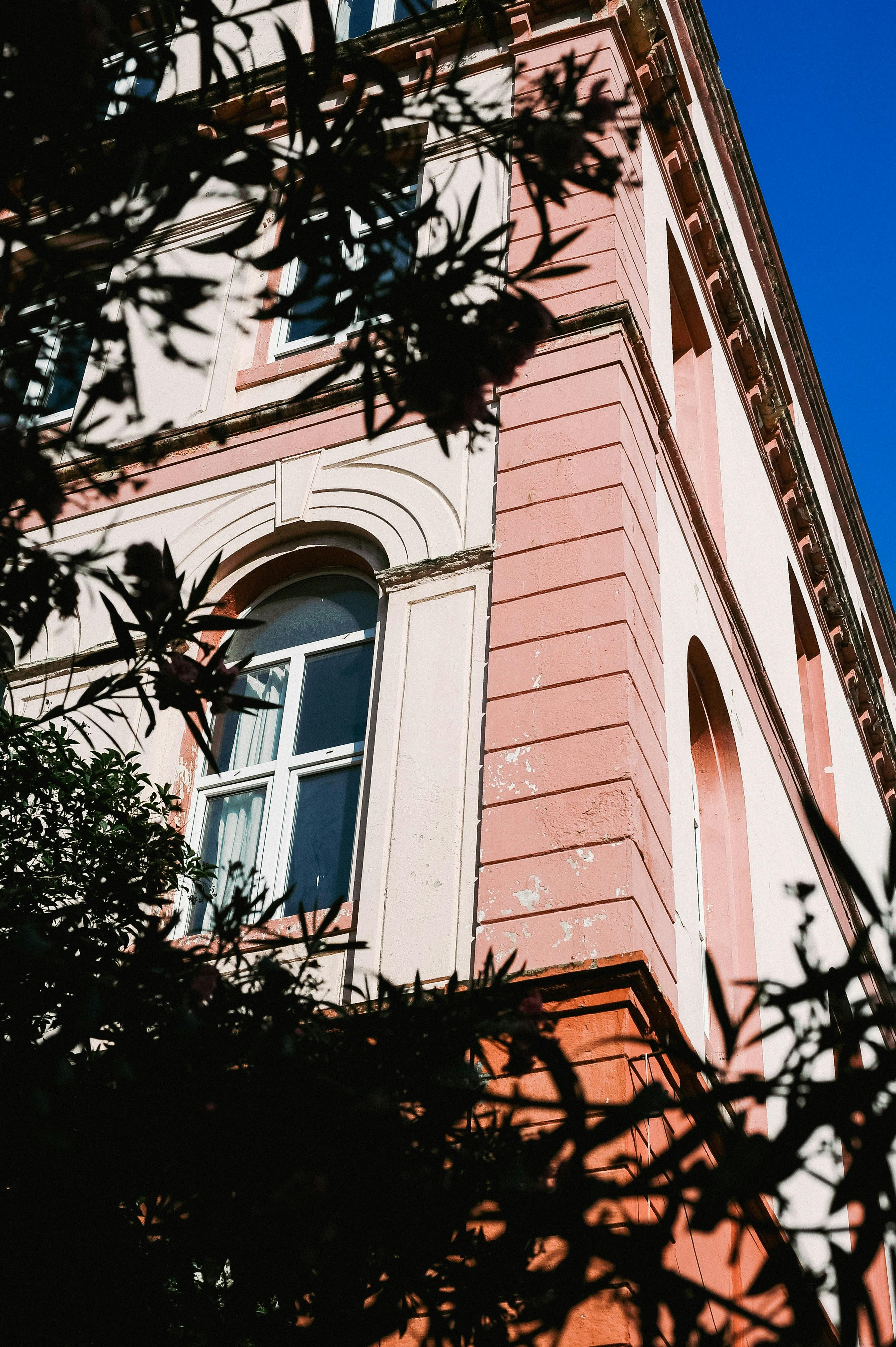 Low angle view of a classic building facade with arched windows framed by leaves.