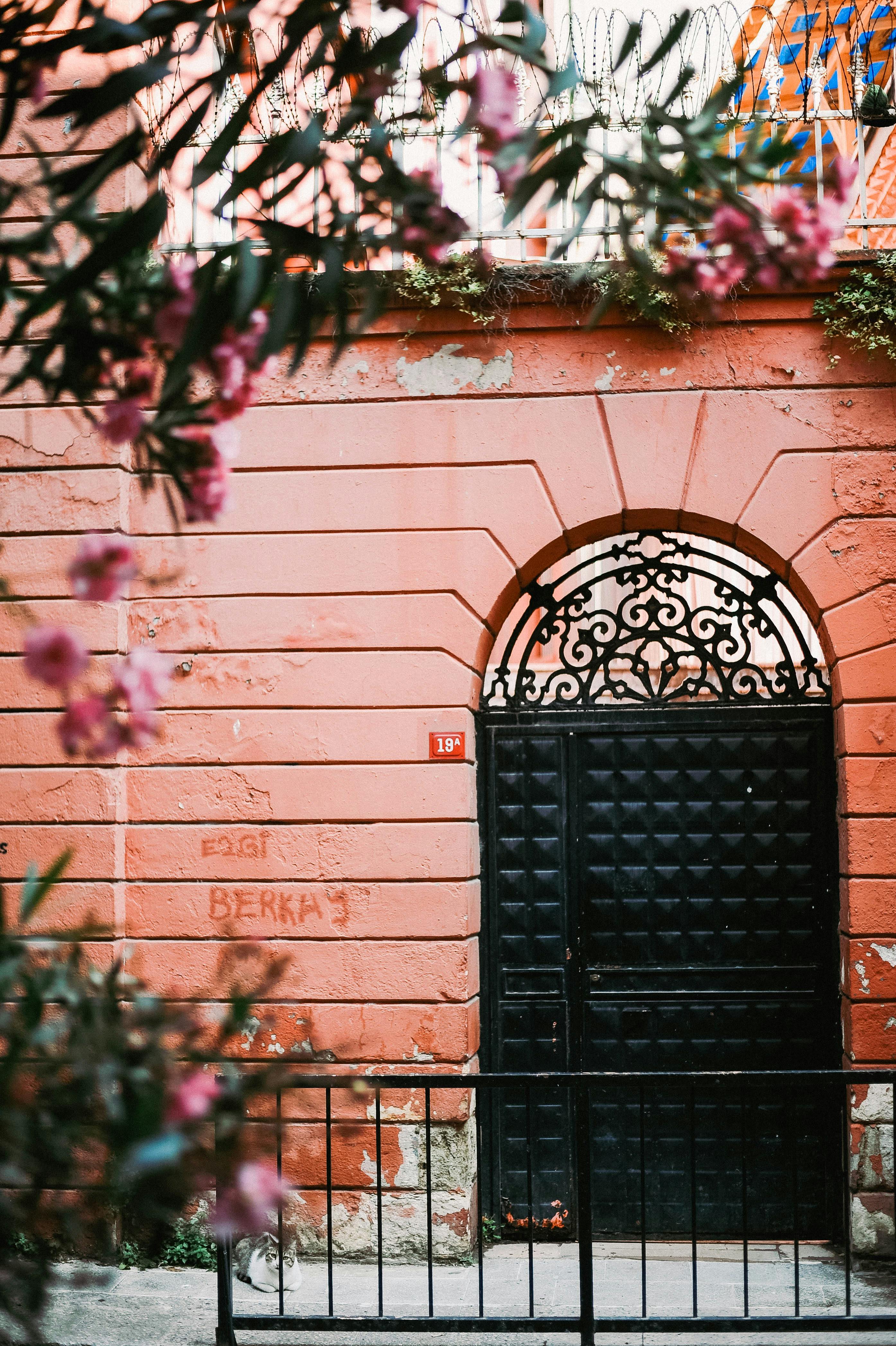 A Black Metal Gate on a Concrete Wall · Free Stock Photo