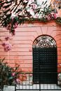 Black Metal Window Grill on Pink Concrete Wall