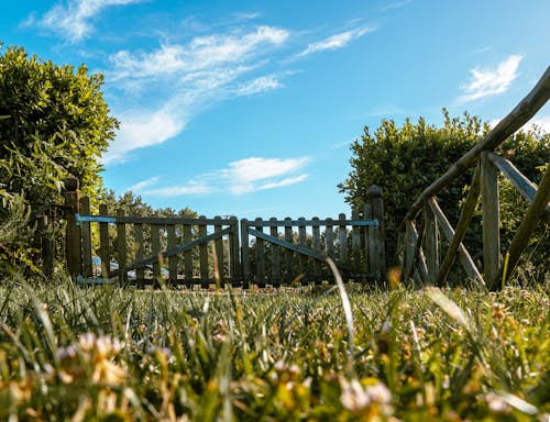 Free stock photo of bluesky, cloud, door