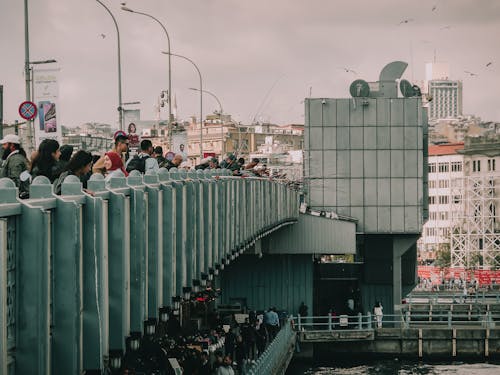 People Fishing on Gray Concrete  Bridge