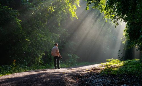 Free A man stands on a forest path basking in the sunlight filtering through the trees. Stock Photo