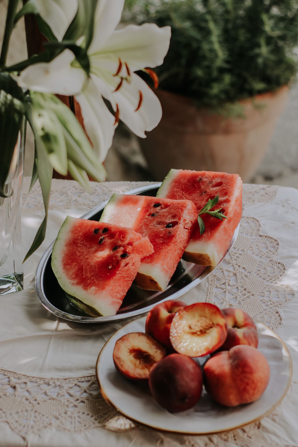 Are Pits and Seeds From Stone Fruit Dangerous for Dogs?