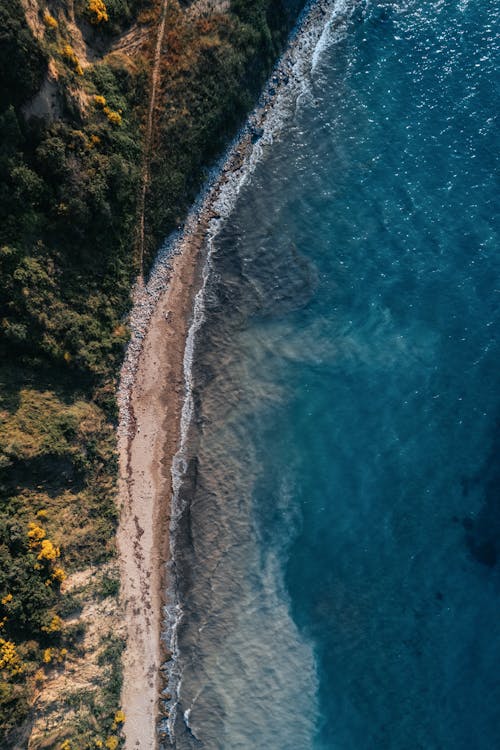 Aerial View of Cliff With Green Trees Beside Body of Water