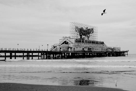 A nostalgic black and white photo of a pier in Mar del Plata, Argentina with a seagull flying overhead.