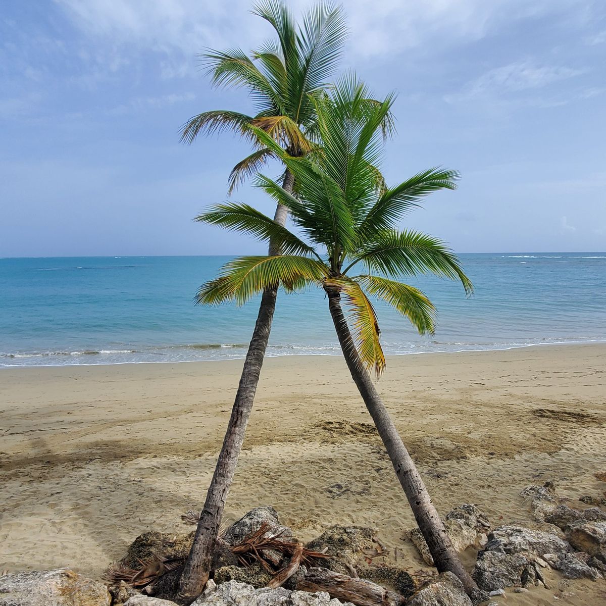 Samaná y Los Haitises