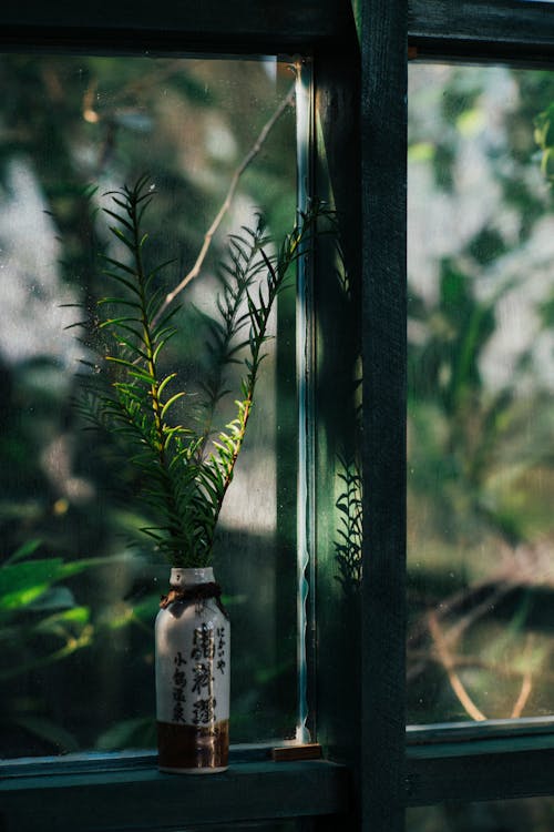 Green Leaves in a Plastic Bottle Near a Glass Window