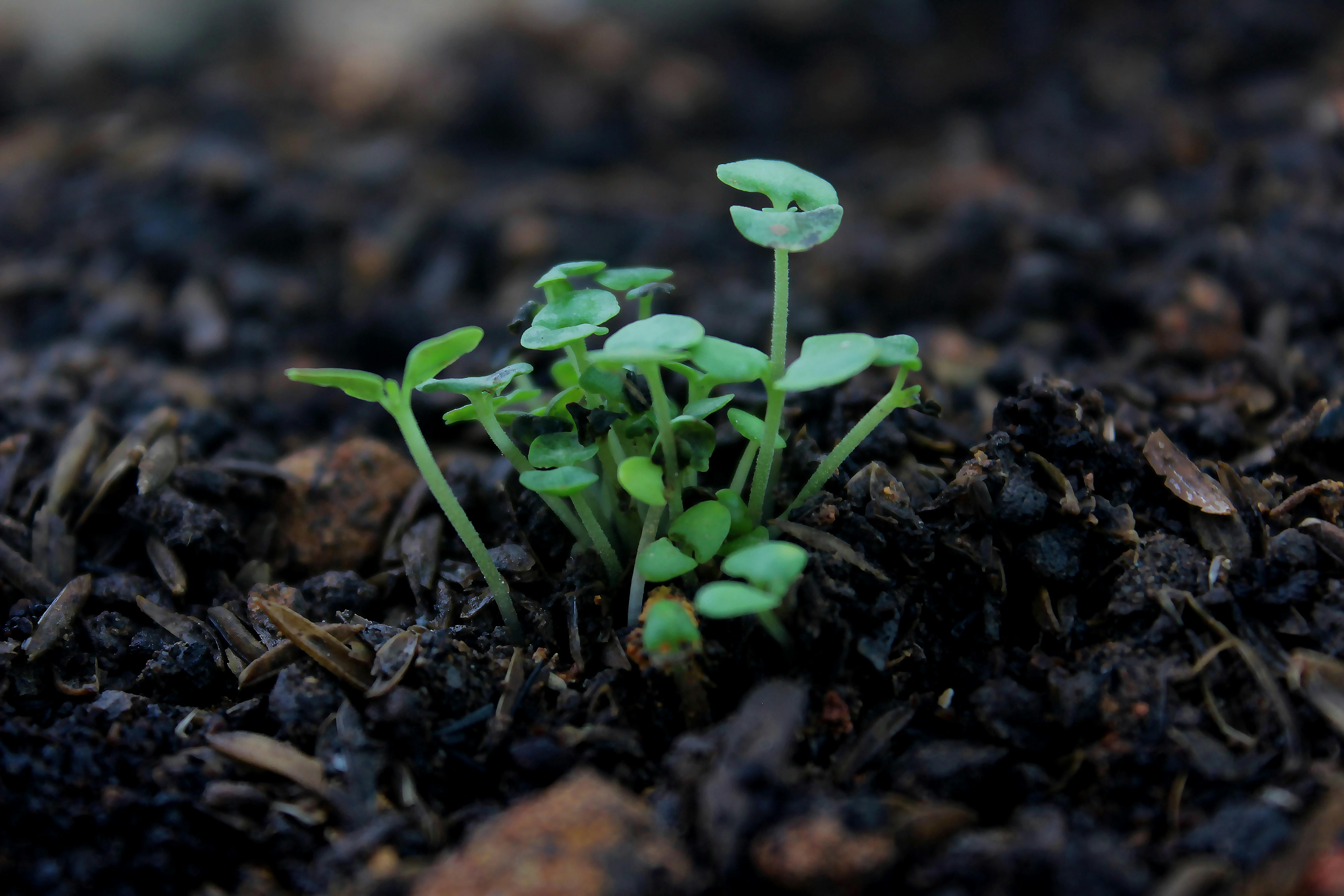 Save soil hi-res stock photography and images - Alamy