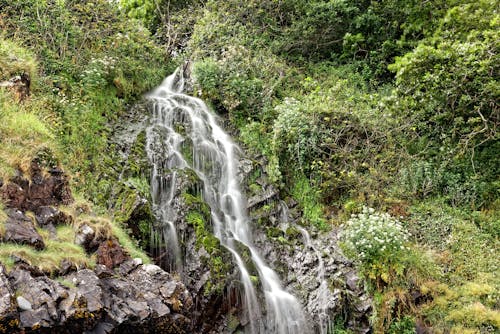 Waterfalls on a Rocky Cliff with Green Plants