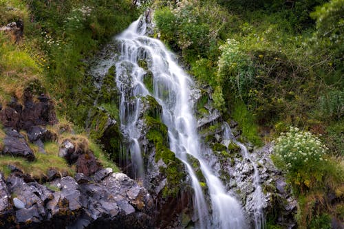 Free Photo of Waterfalls Stock Photo