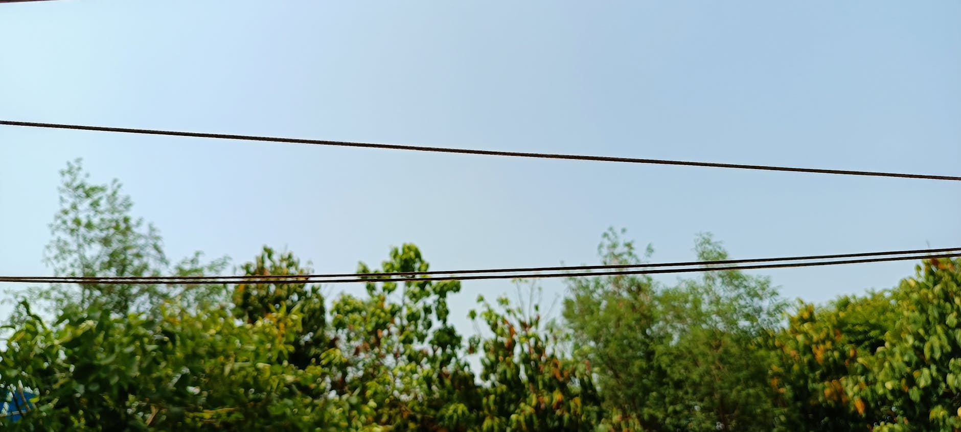 Families planning transport