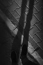Tread warily Images