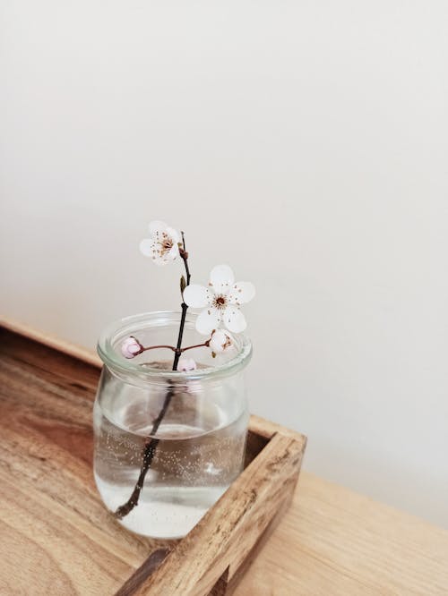 Flower in Jar