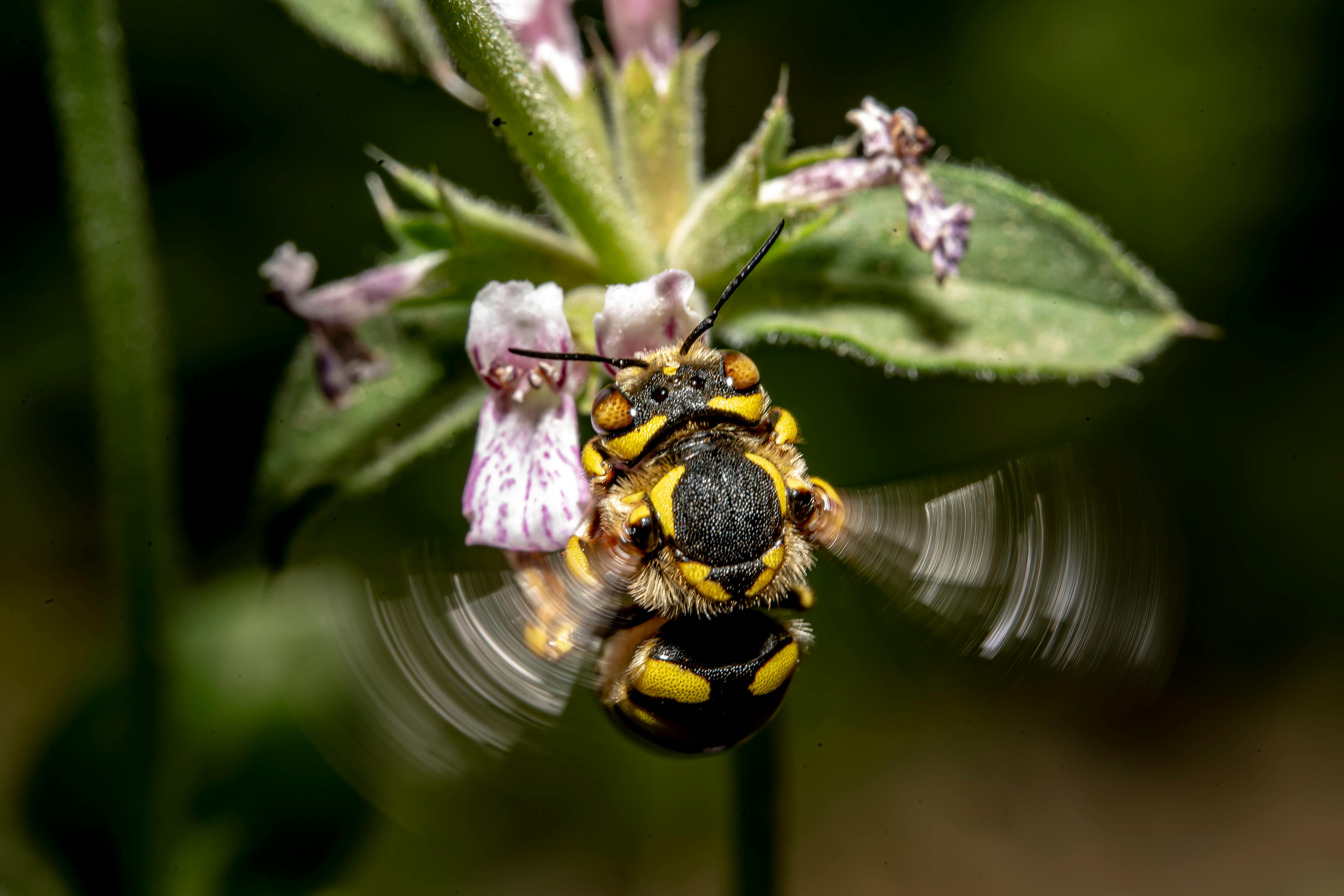 Ark Valley Civics Bee Competition to Send Three Local Students to State — Photo by Akbar Nemati on Pexels