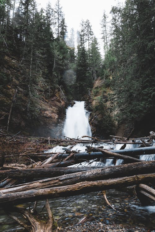 Waterfalls in a Forest with tree Logs on Creek