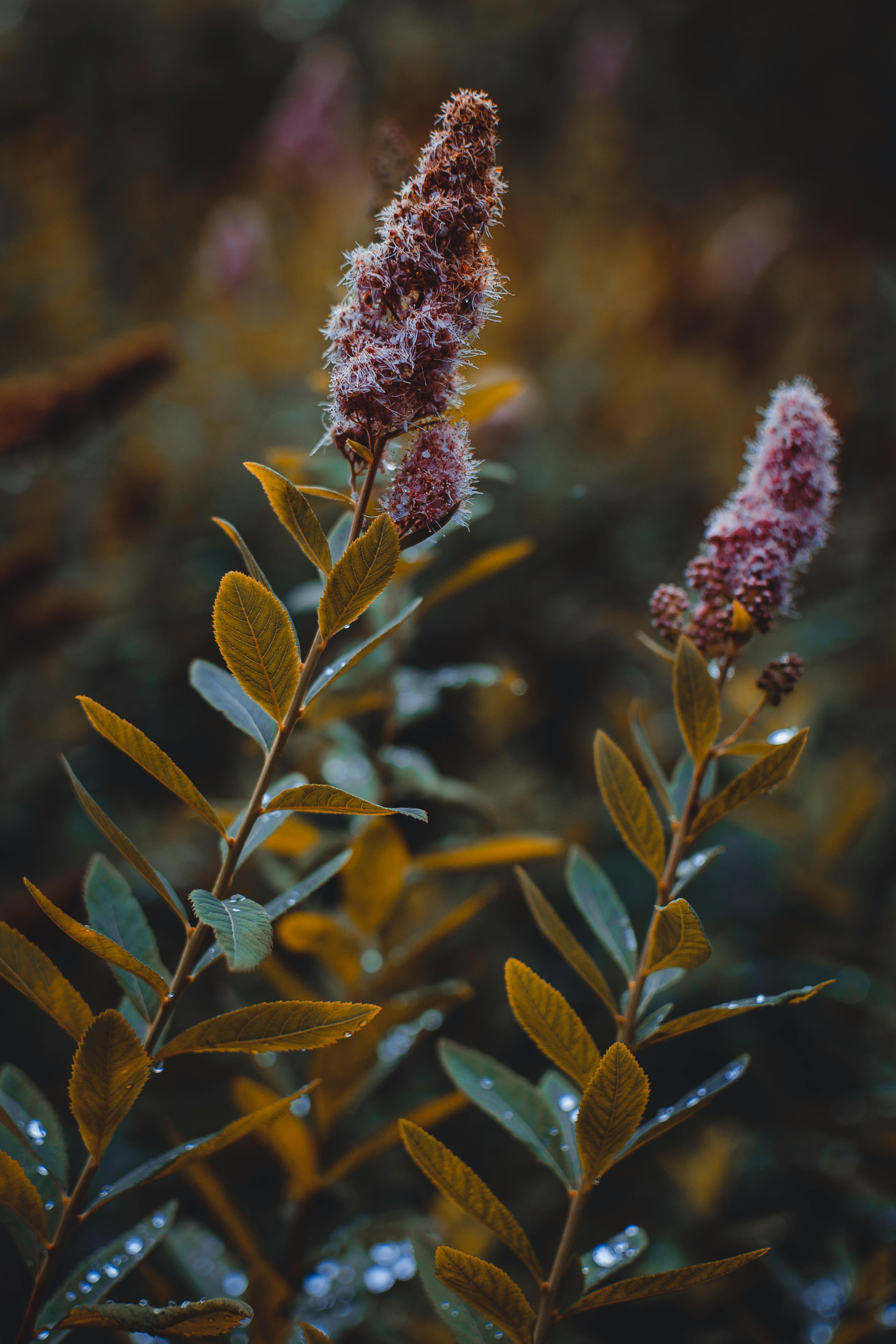 What color is easiest to see underwater?