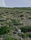 Land-owning Images