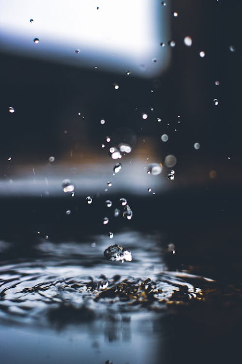 Free Water Drop Stock Photo
