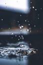 Water Drop