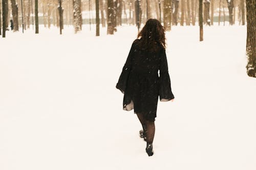 Foto profissional grátis de andando, chão coberto de neve, com frio