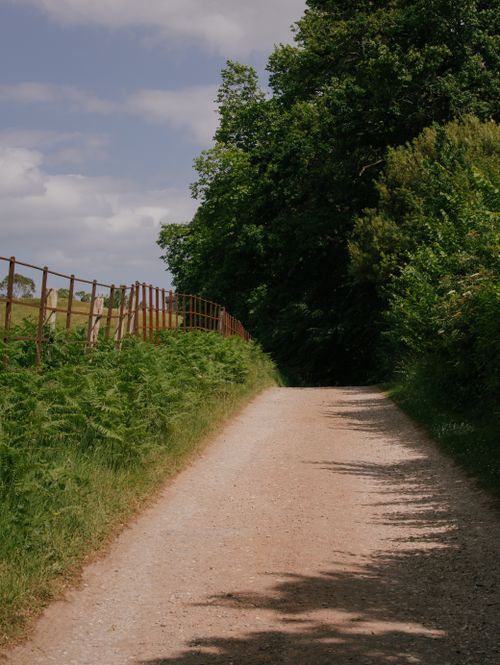 Free Quiet dirt road lined with lush green plants and trees under a cloudy sky, perfect for a rural getaway. Stock Photo