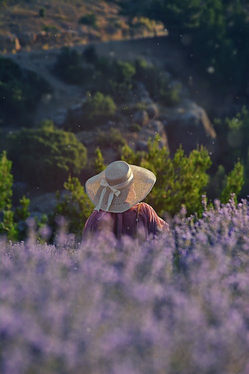 คลังภาพถ่ายฟรี ของ sunhat, กลางแจ้ง, การสวมใส่