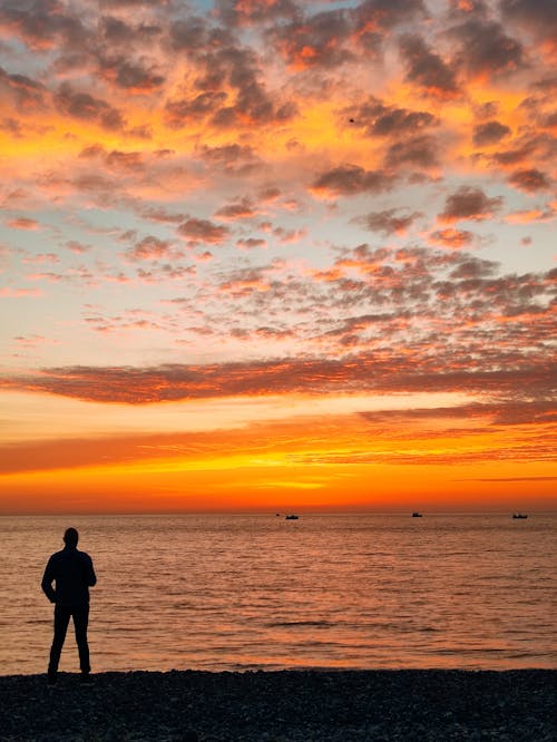 Free Silhouette of a Person Standing on Seashore during Sunset Stock Photo