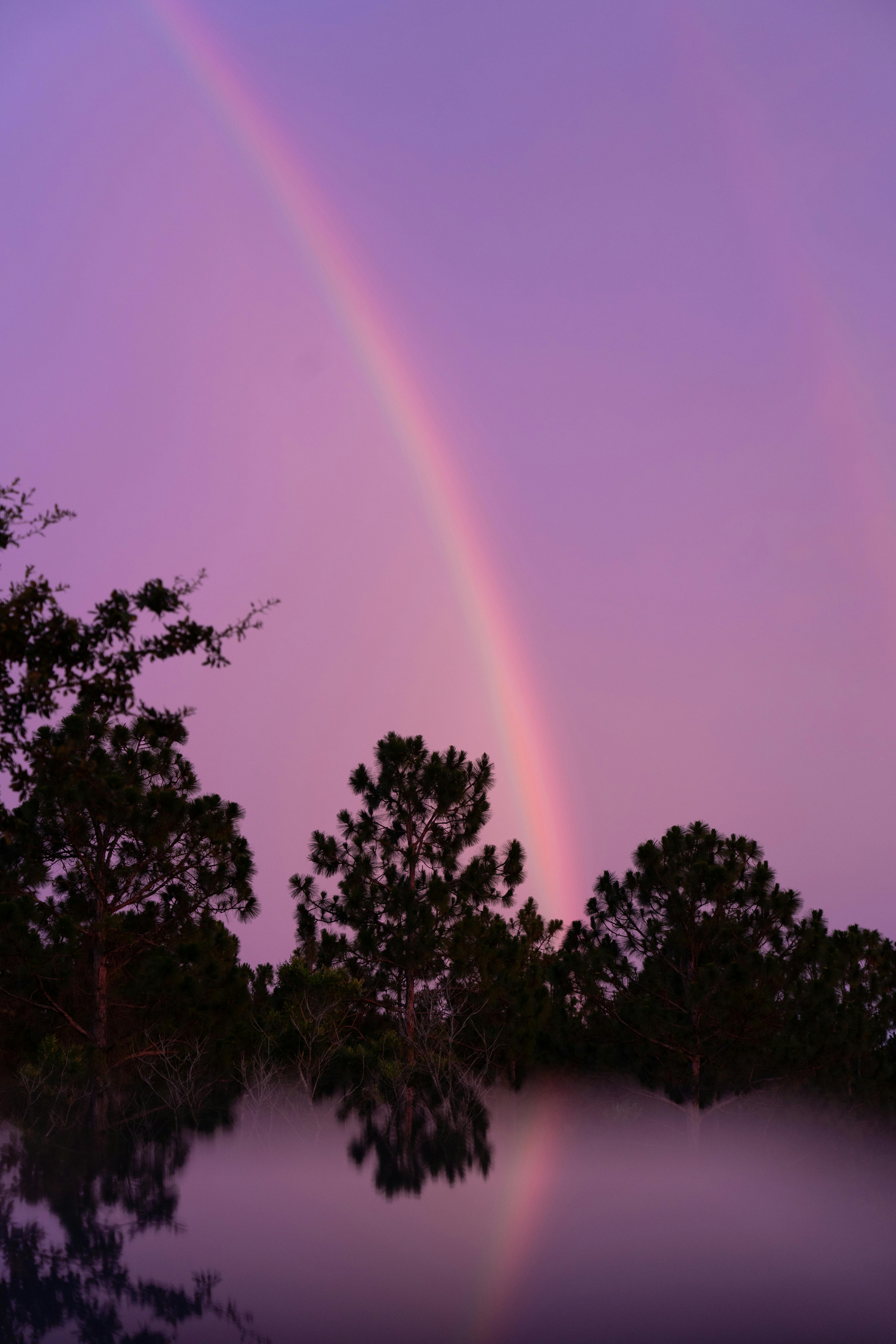A vivid rainbow arcs over silhouetted trees against a twilight sky, reflecting serenely on water.