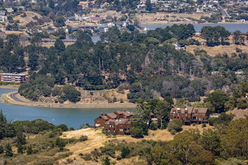 Aerial Shot of Brown Houses Near the Lake 