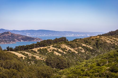 Free Stunning view of San Francisco skyline across the bay from Marin Hills, nestled in lush greenery. Stock Photo