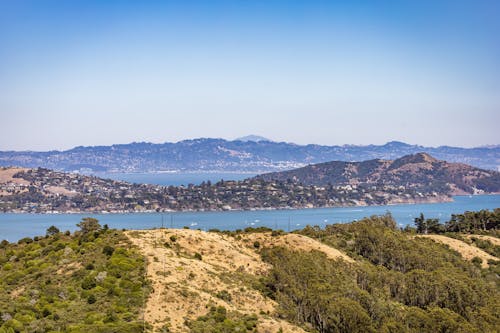 Aerial Shot of Hills Covered with Trees 